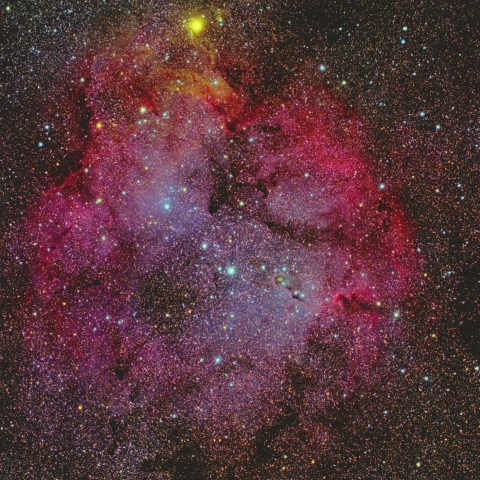 IC1396