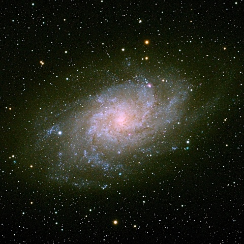 M33