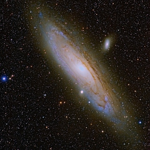 M31