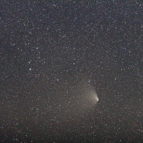 4/14朝のパンスターズ彗星