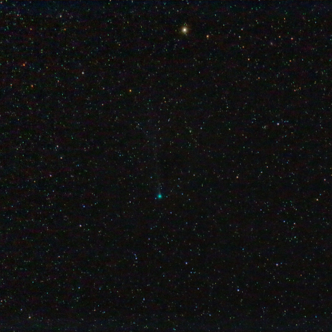 11/6朝のエンケ彗星