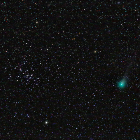 11/6朝のラブジョイ彗星