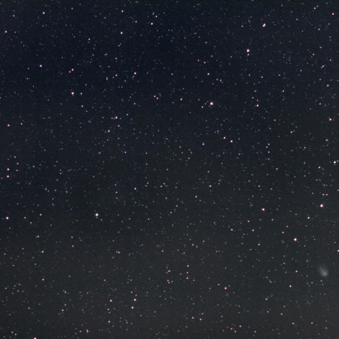 11/6朝のリニア彗星と流星