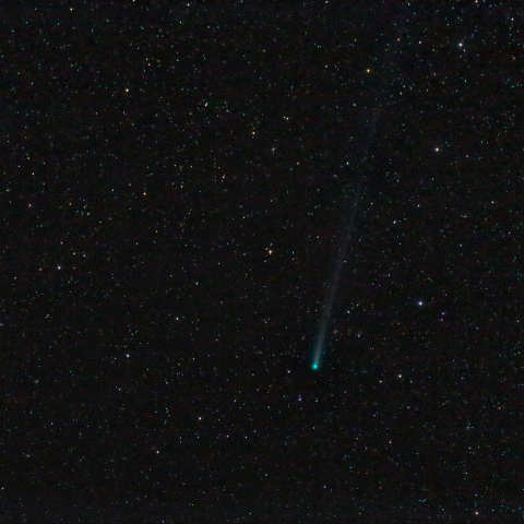 11/14朝のアイソン彗星