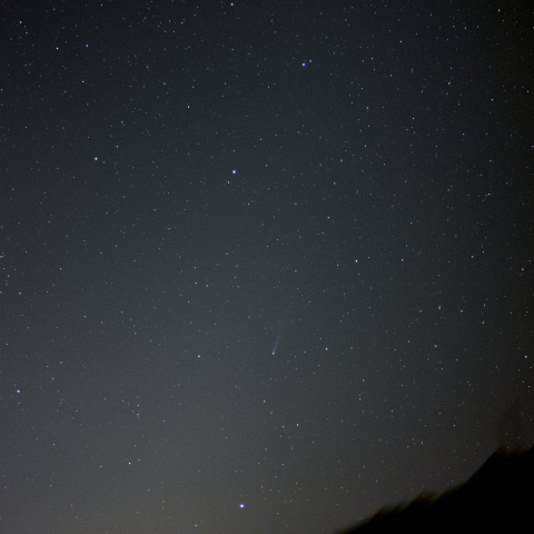 標準レンズによる11/16朝のアイソン彗星