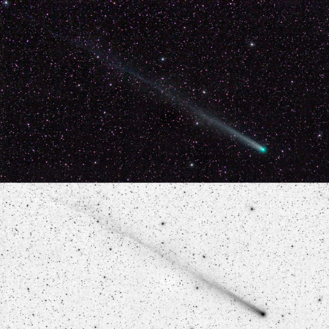 12/9朝のラブジョイ彗星