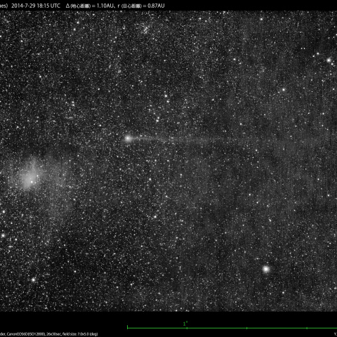 7/30朝のジャック彗星