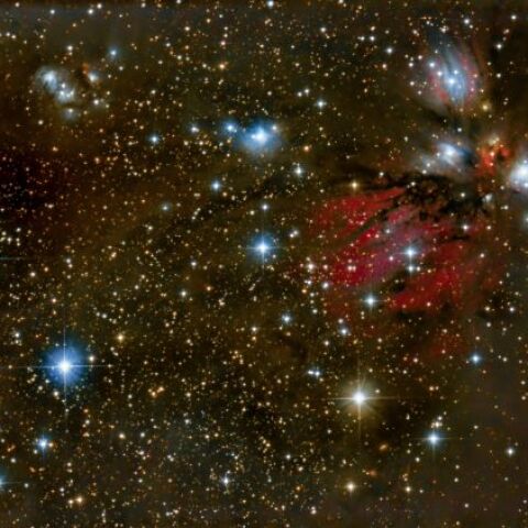 いっかくじゅう座　NGC2170付近