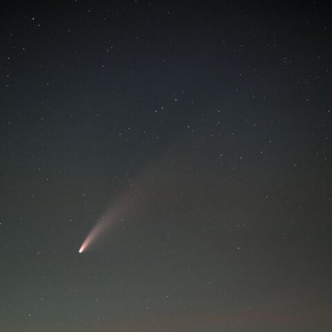 ネオワイズ彗星