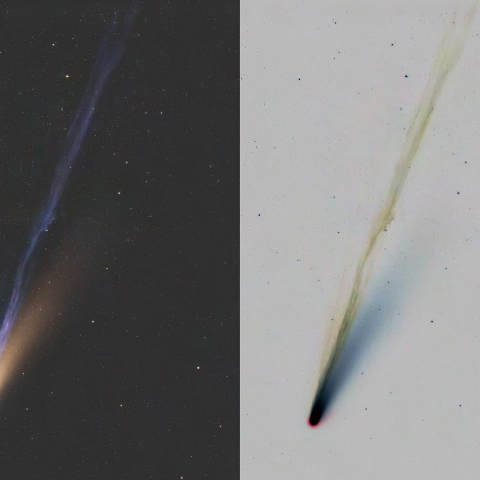 C/2025 A6レモン(20251028)