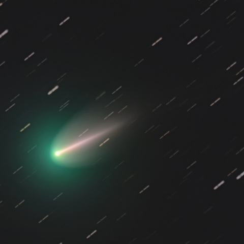 220P/マックノート彗星 8/11