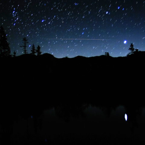 なんだったんでしょう？