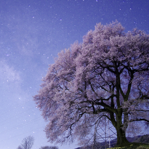 天の川の章 - わに塚劇場