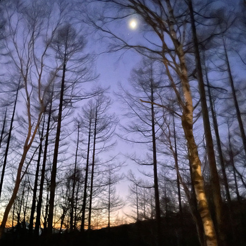 月とスピカの接近