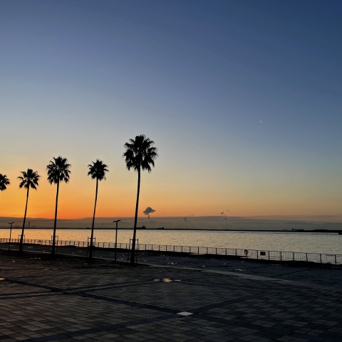 暁の六甲ポートアイランド