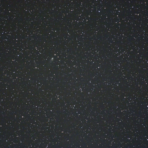 ハーゲンローザー彗星