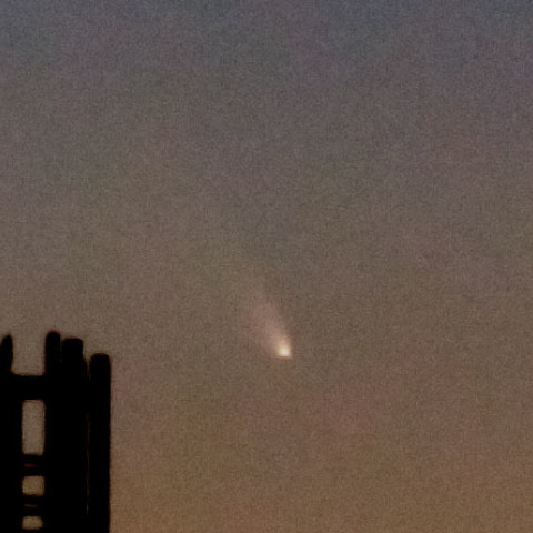 パンスターズ彗星3月12日 (2)