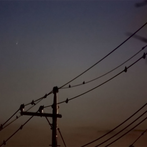 パンスターズ彗星　3/21