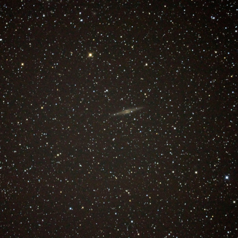 NGC891