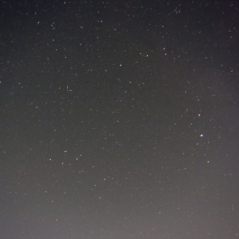 いるか座新星　8/31