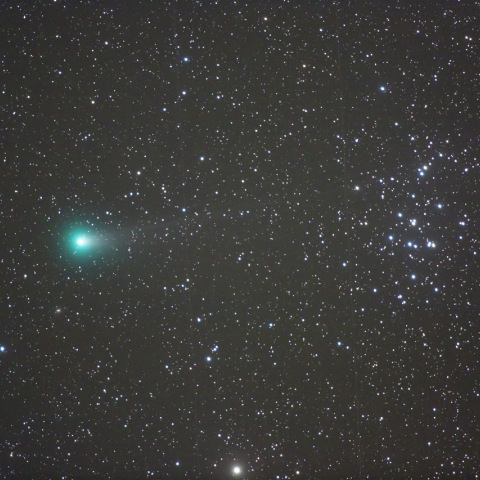 11/8 ラブジョイ彗星とプレセペ