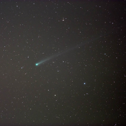 11/14 アイソン彗星