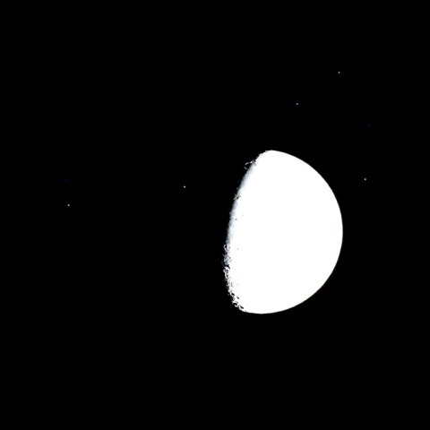 2010年1月25日すばる食