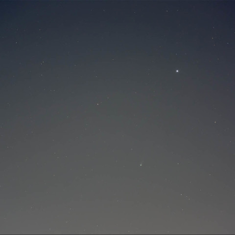 11/19 アイソン彗星