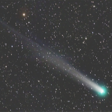 11/29 ラブジョイ彗星再処理