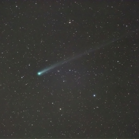 11/14 アイソン彗星再処理