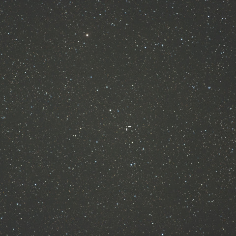 はくちょう座新星