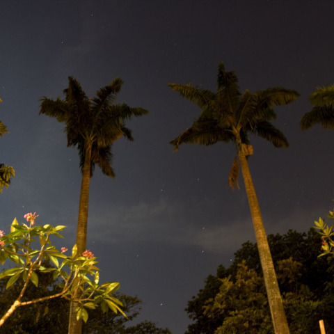 シンガポールからの南十字星