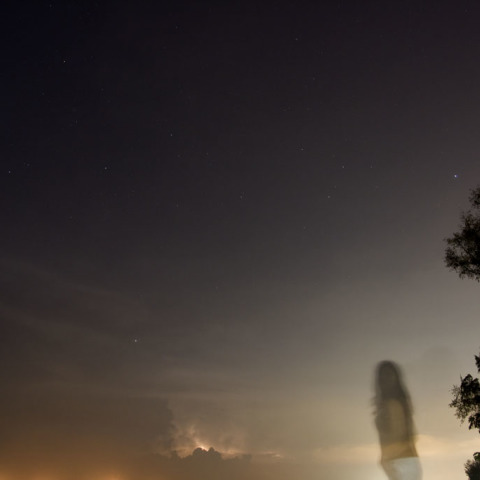 シンガポールからのカノープス