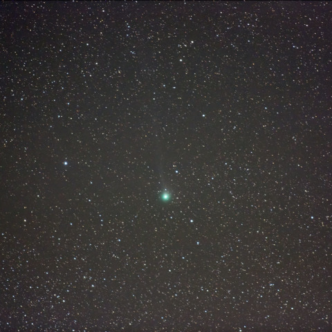 ジャック彗星 8/7