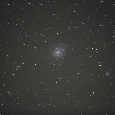 M101銀河群