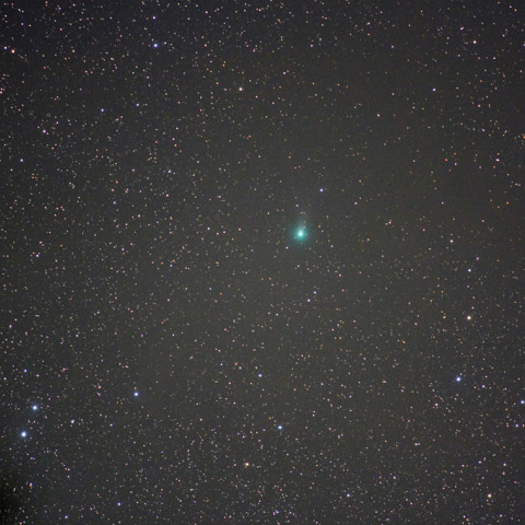 マクノート彗星 (C/2009 K5)