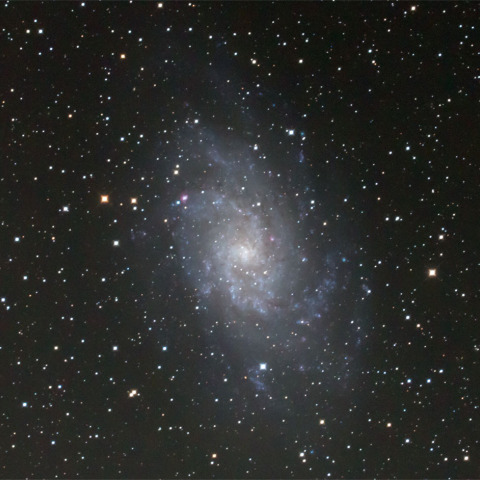 M33
