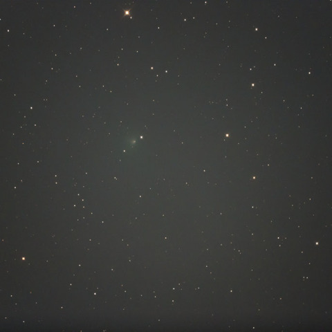 テンペル第2彗星(10P)