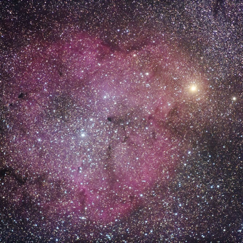 ガーネットスターとIC1396