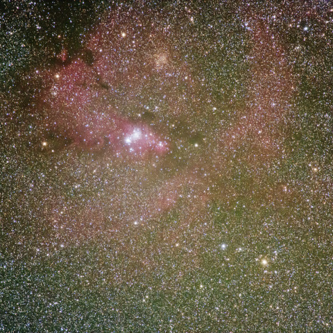 クリスマスツリー星団付近