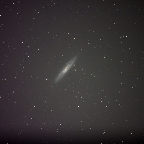 NGC253