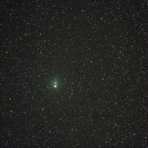 5/5 タットル・ジャコビニ・クレサーク彗星 (41P)