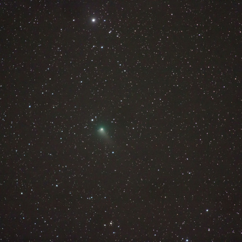 5/5 ジョンソン彗星