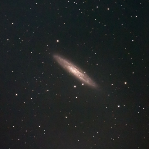 NGC253