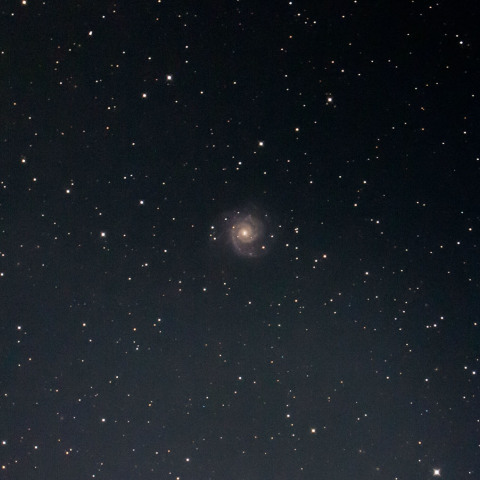M74