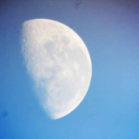 レグルス食 潜入前