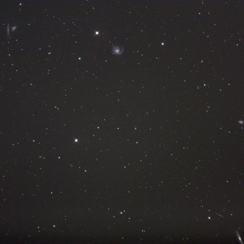 かみのけ銀河団 M99付近