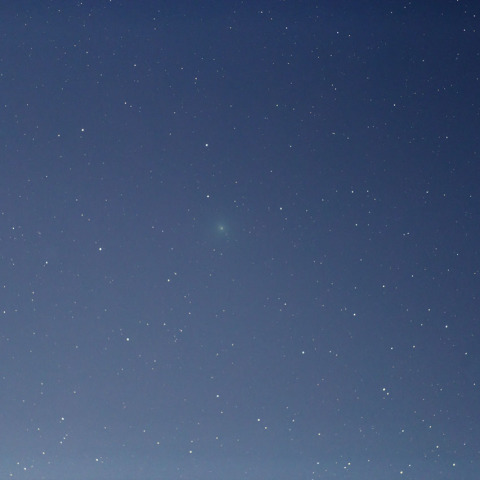 11月24日 46P/ウィルタネン彗星