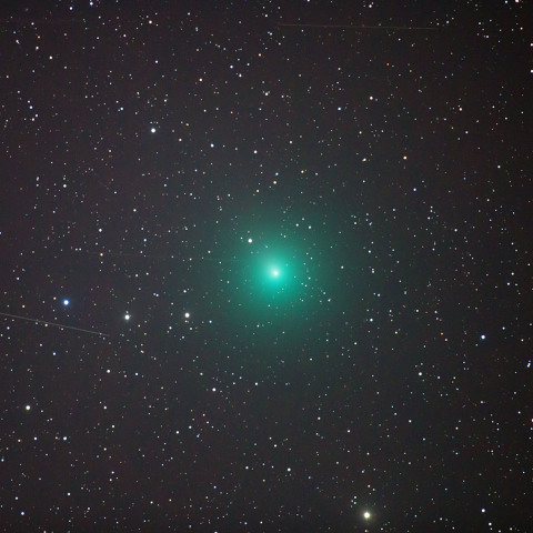 12月7日 46P ウィルタネン彗星