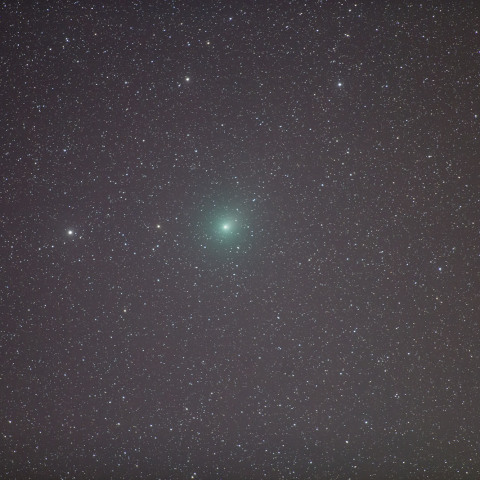 12月31日ウィルタネン彗星 46P